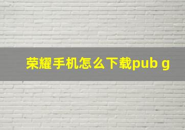 荣耀手机怎么下载pub g